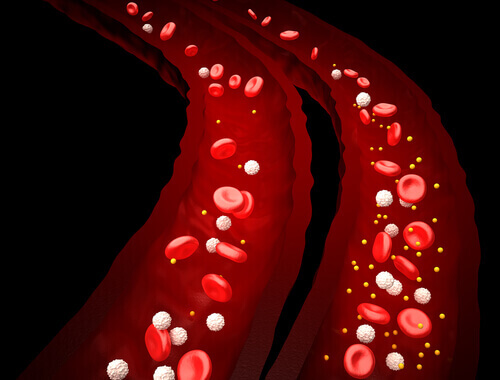Afbeelding van de bloedstroom