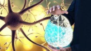 Schud je nervus vagus wakker en stimuleer de algehele gezondheid