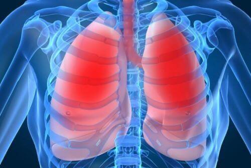 10 tekenen dat je longen het op gaan geven
