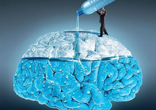 Water drinken heeft invloed op de hersenen
