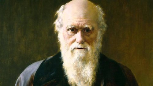 Charles Darwin is een van de succesvolle mensen die zich niet lieten tegenhouden door tegenslag