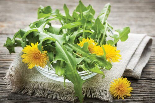 Paardenbloem tegen ouderdomsvlekken
