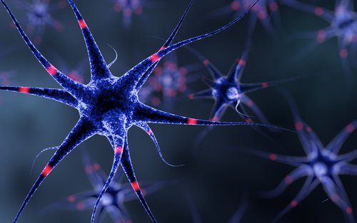 6 trucs om je zenuwstelsel te versterken