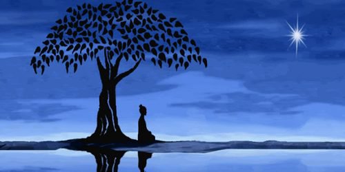 Meditatie bij boom