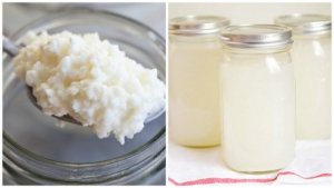 Kefir van kokoswater voor een betere gezondheid