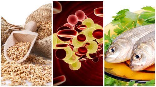 Beheers je cholesterol: voeg deze 7 voedingsmiddelen toe aan je dieet. Beheers je cholesterol: voeg deze 7 voedingsmiddelen toe aan je dieet.