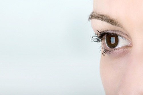 Oog