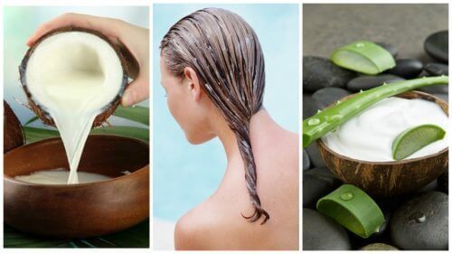 Haarverlies behandelen met aloëvera en kokosmelk