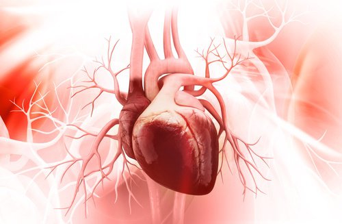 Zeven tips voor een gezond hart