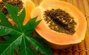 13 voordelen van papajabladeren