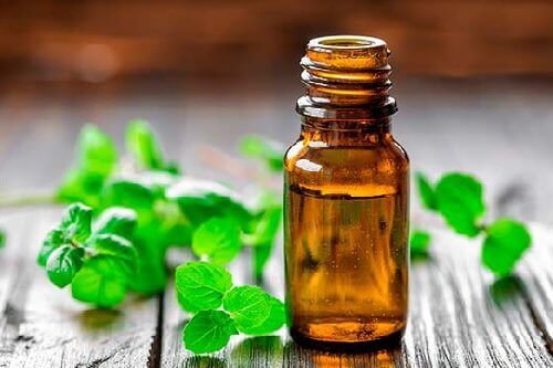 Oliën om artritis mee te behandelen muntolie