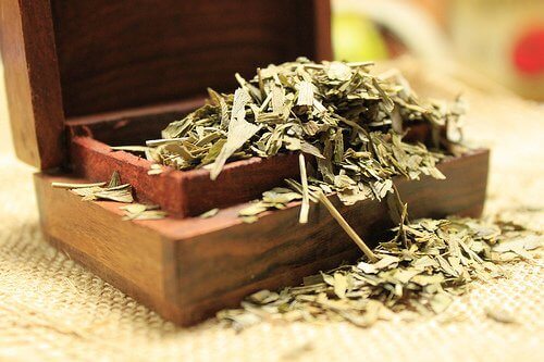 Ginko biloba om tinnitus te verminderen