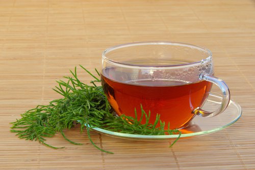 Paardenstaart thee