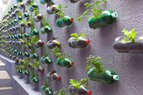 Recyclen tot een groene muur