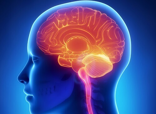 Omdat het je cognitieve functies helpt te verbeteren is rode wijn goed voor je