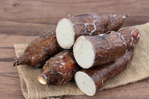 De eigenschappen van cassave bevordert de spijsvertering