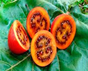 4 exotische groente- en fruitsoorten die je nog niet kent