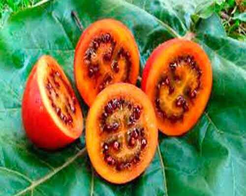4 exotische groente- en fruitsoorten die je nog niet kent