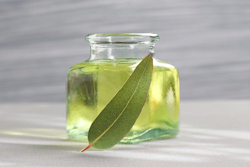 Eucalyptusolie om de symptomen van allergieën te verlichten