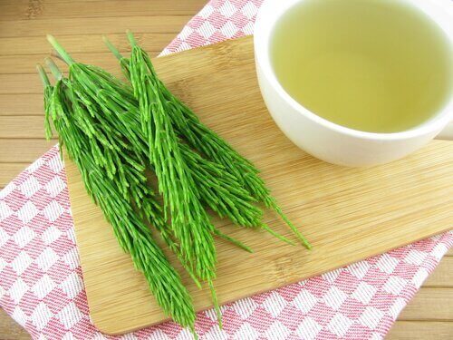 Uiterlijk van striae en paardenstaart