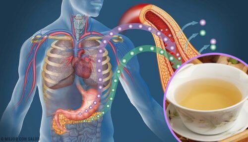 4 soorten thee om je bloedsuikerspiegel te verlagen