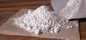 Vlooien bestrijden met diatomeeënaarde