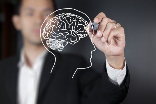 Wetenschappers ontdekken dat de visuele cortex pas na 36 jaar volwassen is