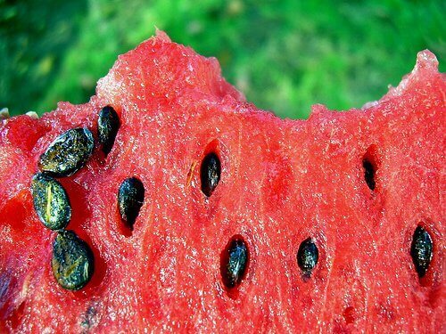Aftreksel van de zaden van watermeloen