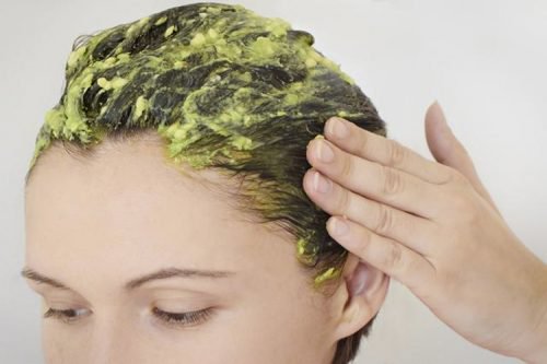 Natuurlijke remedies met avocado tegen roos