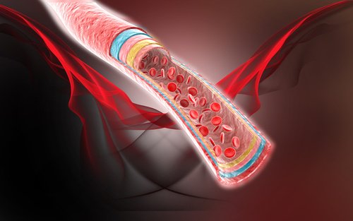 Het drinken van kokoswater verbetert de bloedsomloop