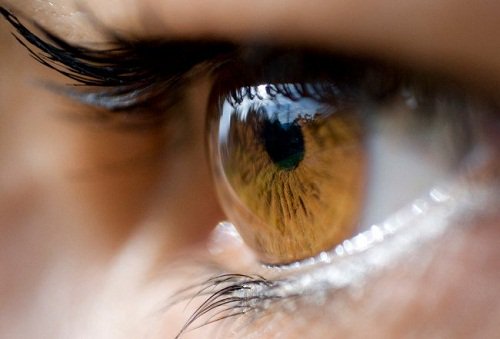 Wat betekent deze ontdekking over de primaire visuele cortex?