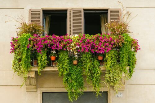 Een minituin op het balkon
