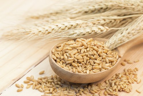Keelontsteking Natuurlijk Behandelen Met Gerst