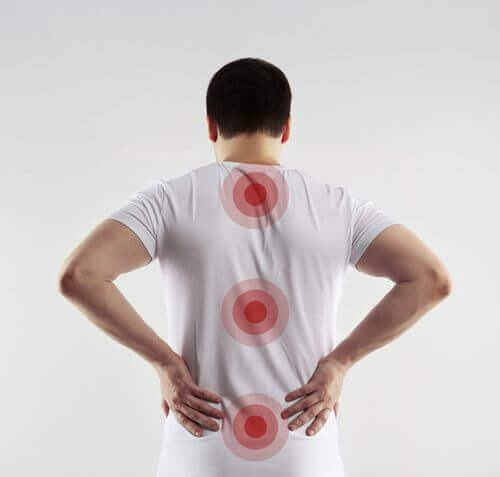 Het Neurofiber project