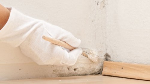 Vochtplek Waardoor Alles Onder De Ziektekiemen Zit