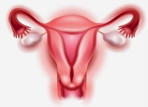 8 natuurlijke middelen tegen eierstokkanker