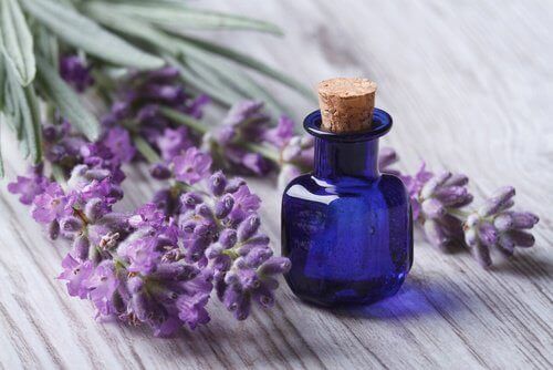 Lavendelolie is een van de etherische oliën voor je schoonheid