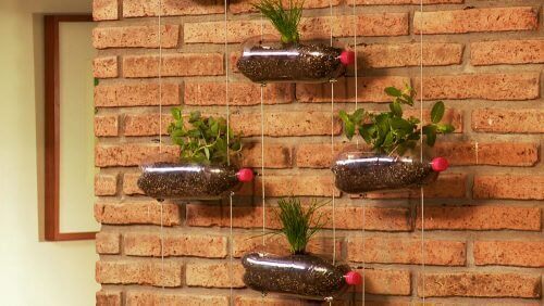 Ontwerp de hangende tuin