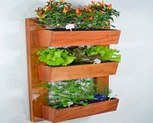 Leer hoe je een hangende tuin maakt