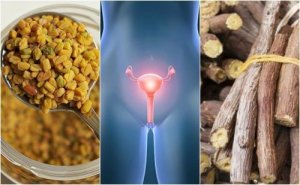 5 natuurlijke remedies voor polycysteus-ovariumsyndroom