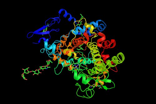 Ibuprofen remt de synthese van prostaglandines