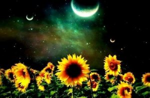 Tips om emotionele leegheid tegen te gaan