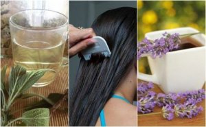 Hoofdluis behandelen op natuurlijke wijze met deze kruidenremedies