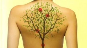 Hoe je organen en emoties met elkaar in verband staan