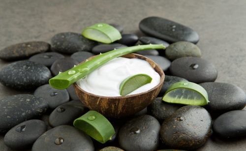 Crème van kokosmelk en aloëvera