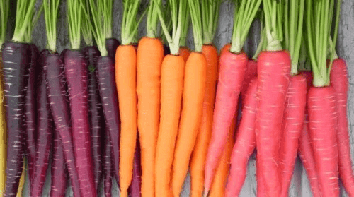 Wortels in verschillende kleuren