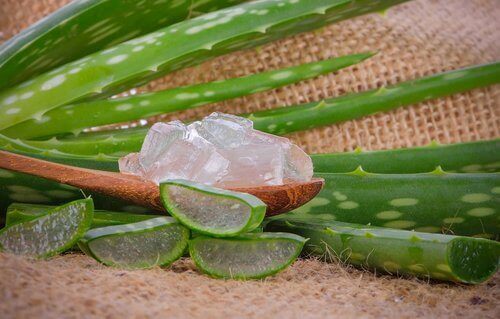 Huismiddelen tegen schurft aloevera