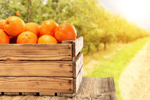 Sinaasappels in een krat