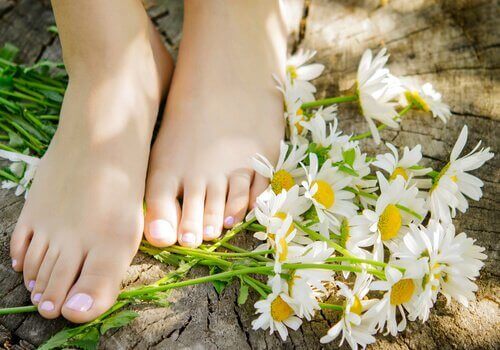 Een van de eigenschappen van kamille is dat het je huid zacht maakt