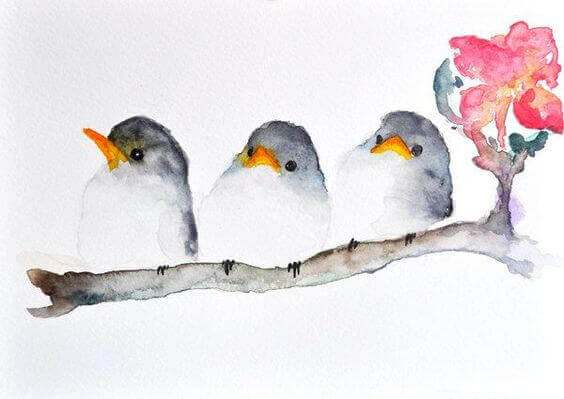 Drie vogels die staan voor drie soorten medeleven